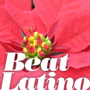 ¡Feliz Navidad! This edition of Beat Latino presents tunes to celebrate the holiday. 
Espero que se la pasen muy bien en compañía de familia y seres queridos en estos días festivos. Aquí les comparto una hora de melodías para las Navidades de todas partes de las Américas, deseándoles lo mejor de lo mejor en esta época tan especial del año.